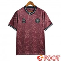 Maillot Equipe Foot Danemark Special Edition Rouge Foncé 2024/2025