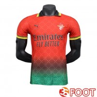 Maillot De Foot Milan AC Special Edition Rouge/Vert 2024/2025
