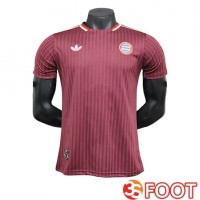 Maillot De Foot Bayern Munich Special Edition Rouge 2024/2025
