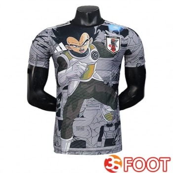 Maillot Equipe Foot Japon Special Edition Gris 2025/2026