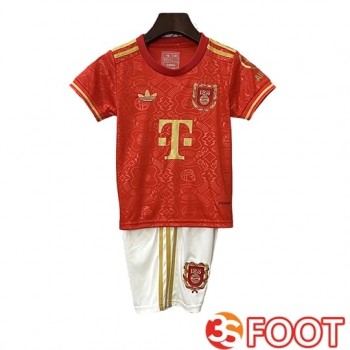 Maillot De Foot Bayern Munich Enfant 125th Anniversary 2025/2026