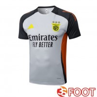 Training T-Shirts S.L Benfica Gris 2025/2026