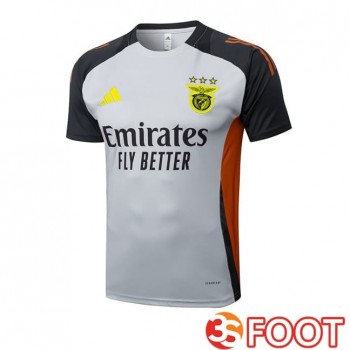 Training T-Shirts S.L Benfica Gris 2025/2026