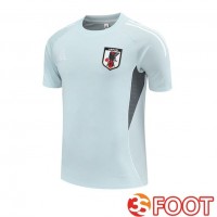 Training T-Shirts Japon Gris 2025/2026