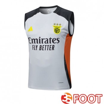 Gilet Foot S.L Benfica Gris 2025/2026