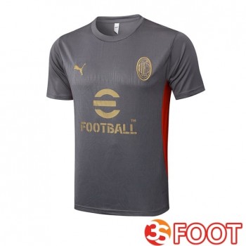 Training T-Shirts AC Milan Gris 2025/2026