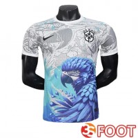 Maillot Equipe Foot Bresil Special Edition Gris/Bleu 2025/2026
