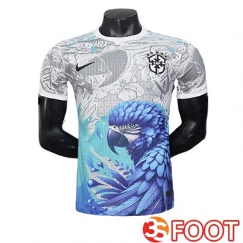 Maillot Equipe Foot Bresil Special Edition Gris/Bleu 2025/2026