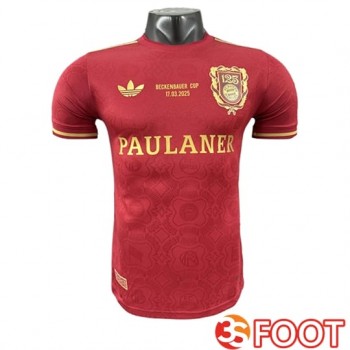 Maillot De Foot Bayern Munich 125th Anniversary Edition Rouge 2025/2026