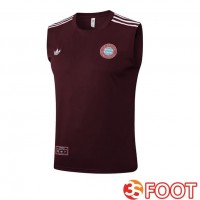Gilet Foot Bayern Munich Marron 2025/2026