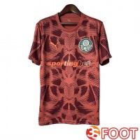 Maillot De Foot Palmeiras Gardien De But Rouge 2025/2026
