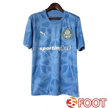 Maillot De Foot Palmeiras Gardien De But Bleu 2025/2026