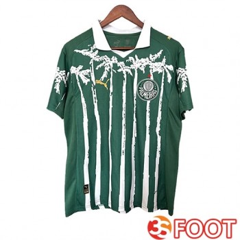 Maillot De Foot Palmeiras Special Edition Vert 2025/2026