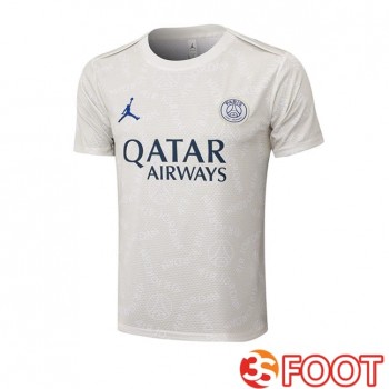 Training T-Shirts Jordan Paris PSG Gris 2025/2026