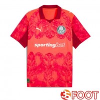 Maillot De Foot Palmeiras Club Club World Cup Gardien De but Rouge 2025/2026