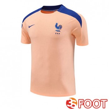Training T-Shirts France Rose 2025/2026