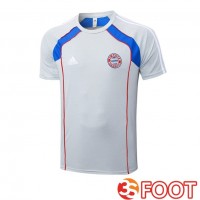 Training T-Shirts Bayern Munich Gris 2025/2026