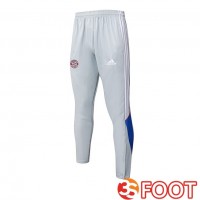 Pantalon Foot Bayern Munich Gris 2025/2026