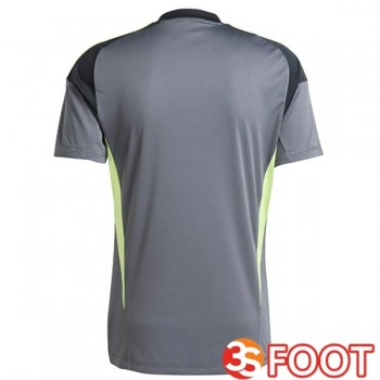 Maillot De Foot Juventus Gardien De but Gris 2025/2026