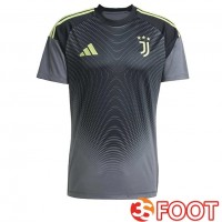 Maillot De Foot Juventus Gardien De but Gris 2025/2026