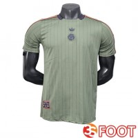 Maillot De Foot Bayern Munich Special Edition Vert 2025/2026