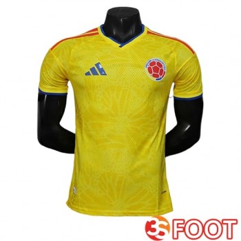 Maillot Equipe Foot Colombie Domicile 2025/2026