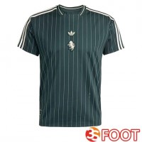 Maillot De Foot Juventus Special Edition Vert 2025/2026