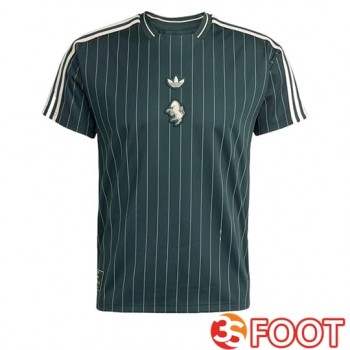 Maillot De Foot Juventus Special Edition Vert 2025/2026