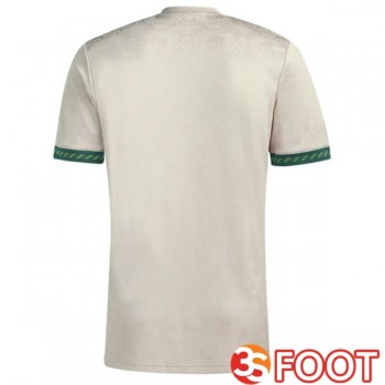 Maillot De Foot Bayern Munich Édition Spéciale Gris 2025/2026