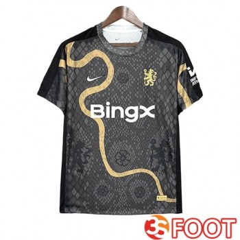 Maillot De Foot Chelsea Special Edition Gris 2025/2026