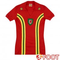 Maillot De Foot Pays De Galles Retro Domicile Rouge 1976-1979