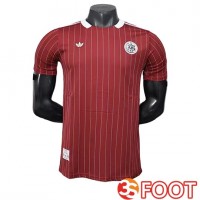 Maillot De Foot Ajax Special Edition Rouge 2025/2026