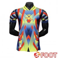 Maillot De Foot Arsenal Special Edition Pourpre 2025/2026