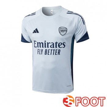 Training T-Shirts Arsenal Gris 2025/2026