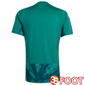 Maillot Foot Equipe De Allemagne Gardien De but Vert 2026/2027