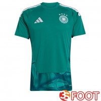 Maillot Foot Equipe De Allemagne Gardien De but Vert 2026/2027