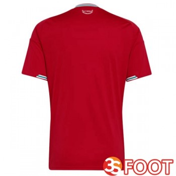 Maillot Foot Equipe De Pays De Galles Domicile Rouge 2026/2027