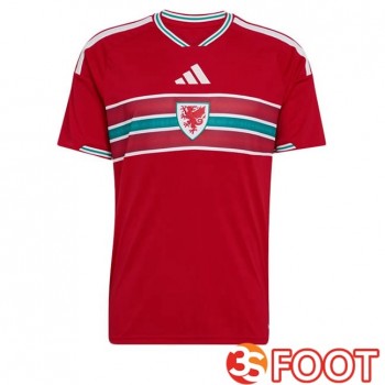 Maillot Foot Equipe De Pays De Galles Domicile Rouge 2026/2027
